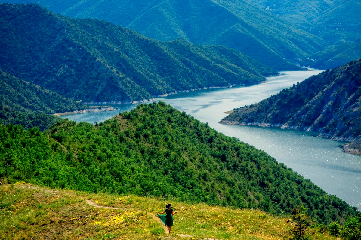 Nature Hills Gallery