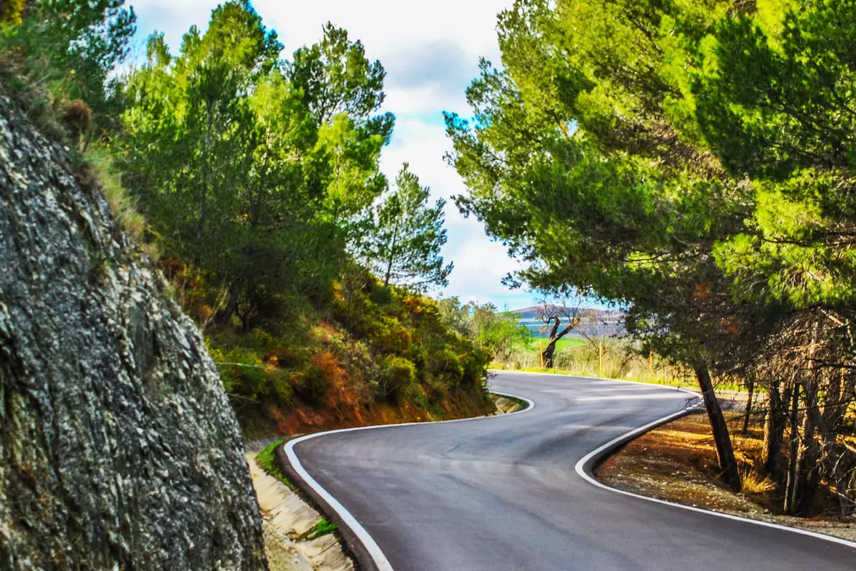 Nature Hills Gallery