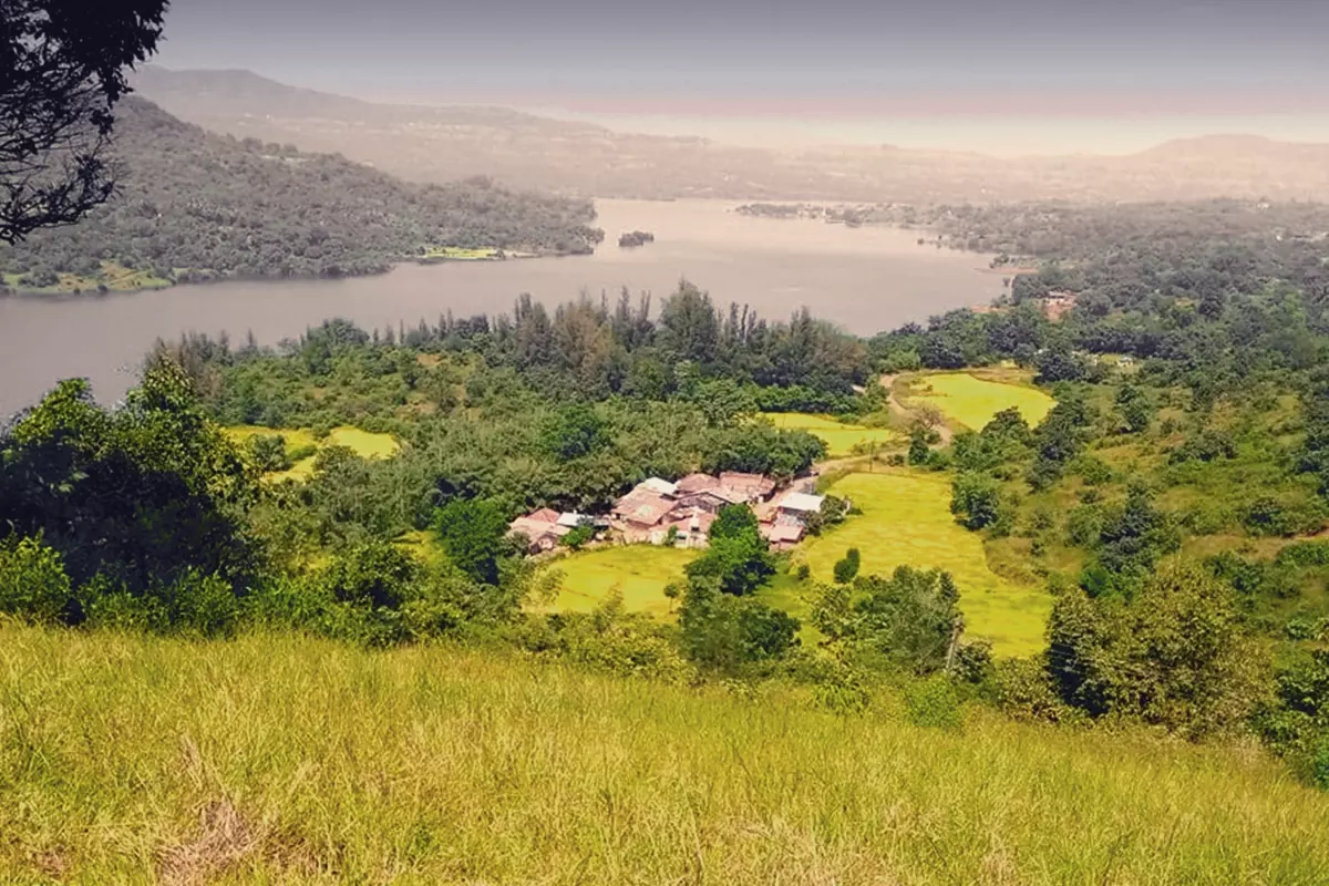 Nature Hills Gallery