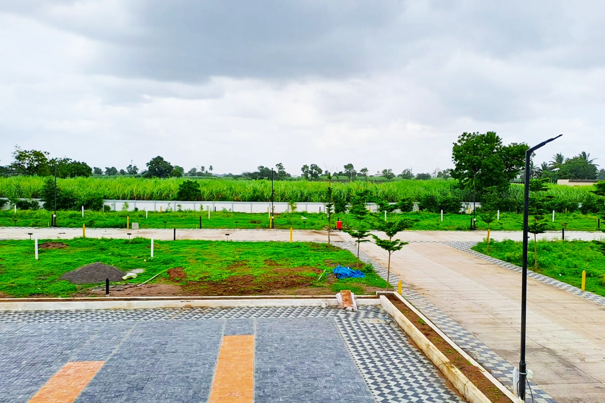 Nisarga Kanchan Gallery